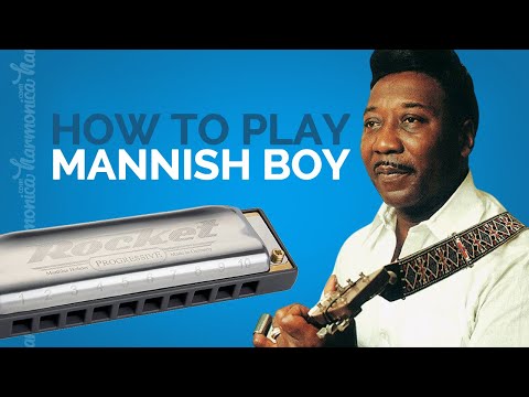 How To Play Manish Boy on Harmonica (combined with I&#039;m A Man!)