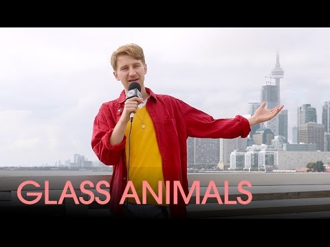 Dave Bayley of Glass Animals on &quot;How to be a Human Being&quot; and throwing Pineapples at Fans
