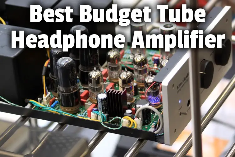 budget tube amp lg